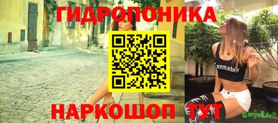 МДПВ Будённовск