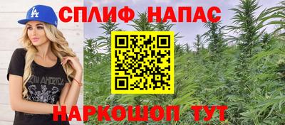МДПВ Будённовск