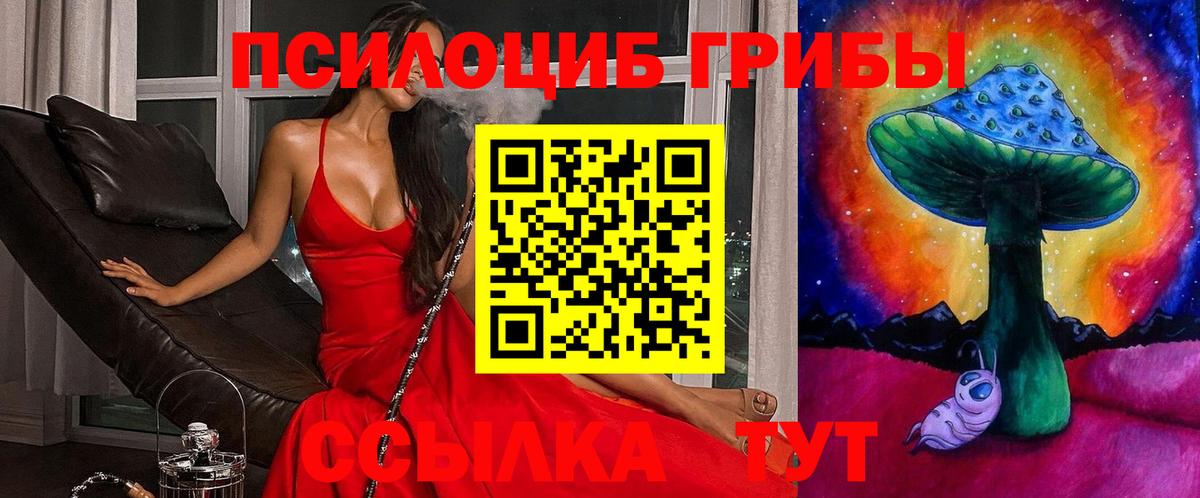 Псилоцибиновые грибы мицелий  Вход с VPN  Рославль 