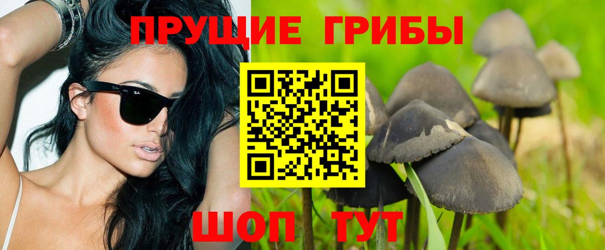 Галлюциногенные грибы мухоморы Рославль